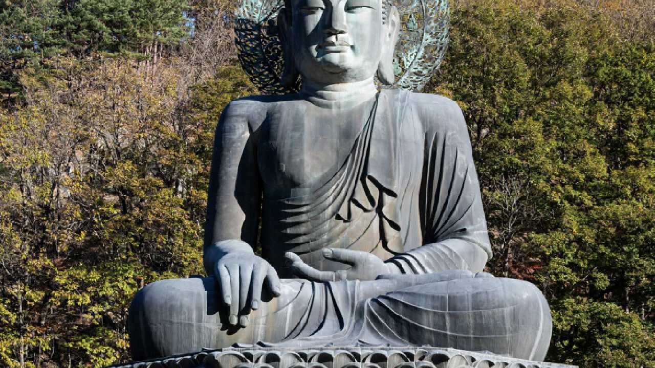 Package Image